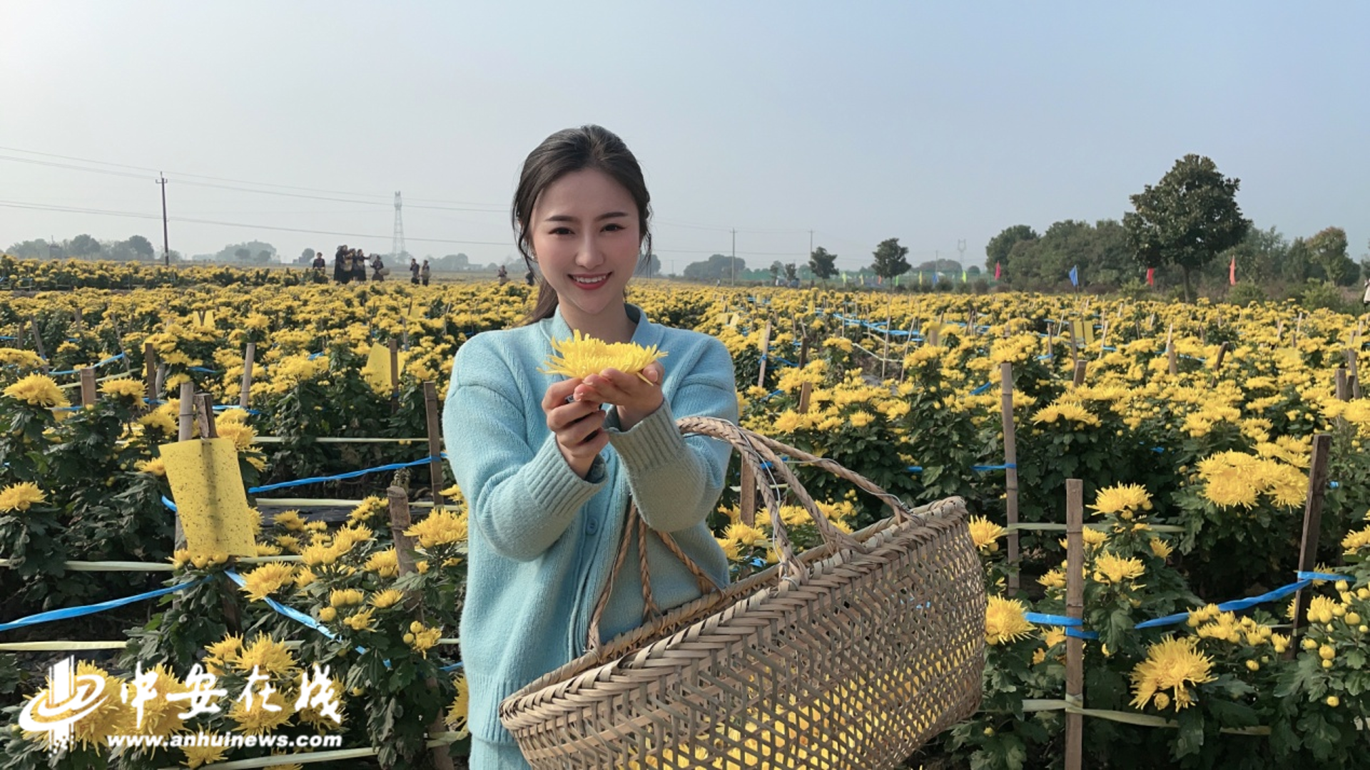 葵缘农业观光