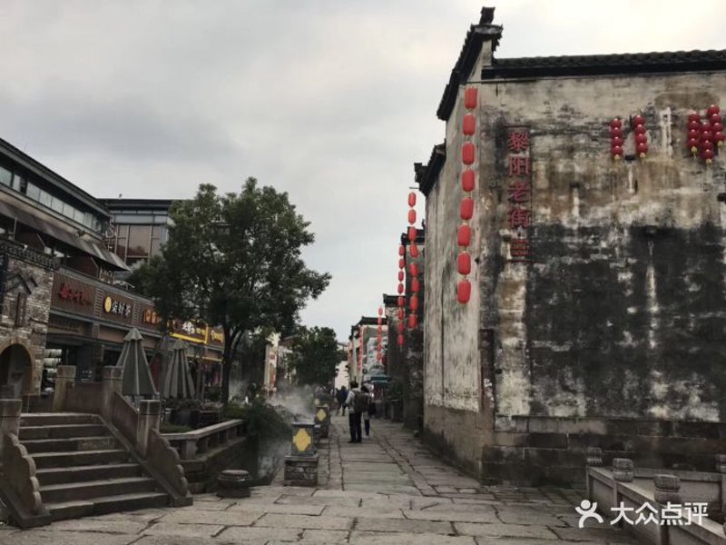 黄山休闲农业：传统与现代的融合