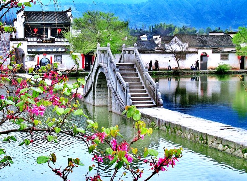 黄山葵缘，这个品牌在护肤品市场上占据了一席之地，但其真实效果如何？今天我们就来揭开它的神秘面纱。