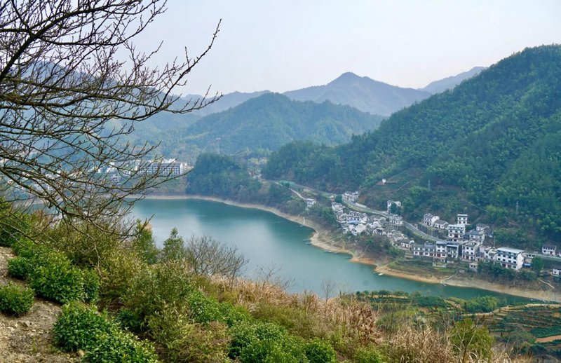 黄山市农业观光：让心灵在自然中栖息