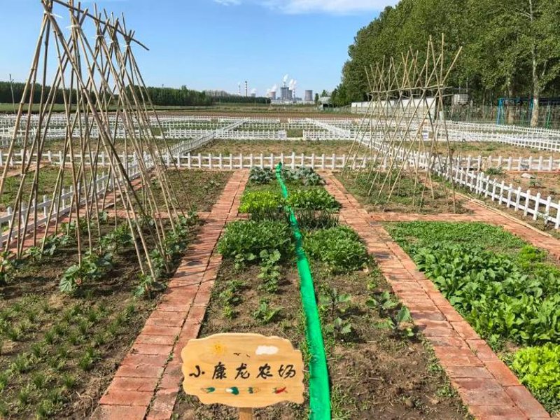 黄山市农业观光:体验自然与文化的完美结合