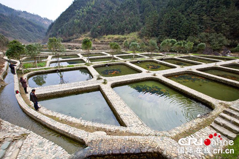 黄山农家乐：从传统到现代的转变