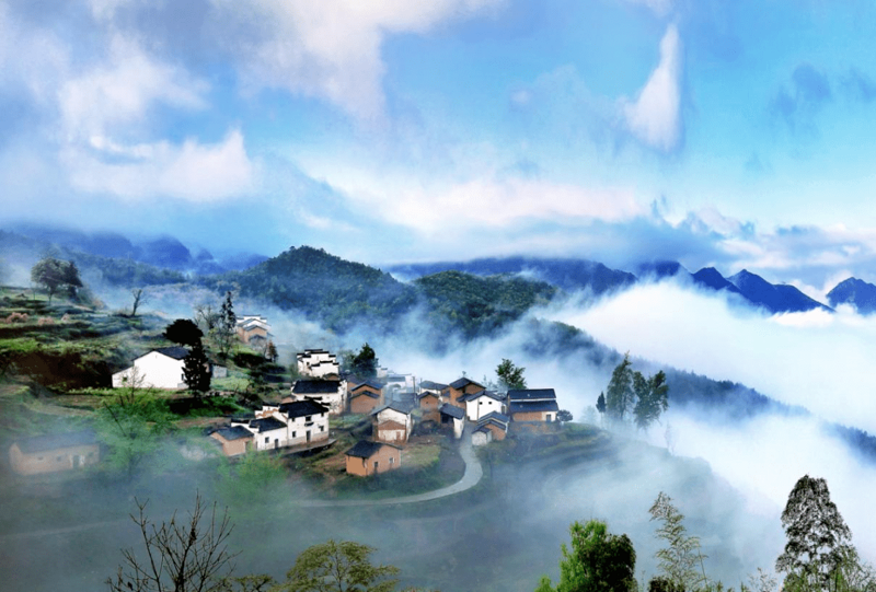 黄山亲子农场：享受自然与亲子时光